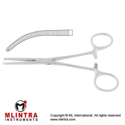 Ochsner-Kocher Haemostatic Forcep Curved - 1 x 2 Teeth Stainless Steel, 18 cm - 7"